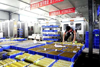 兩日后17萬義馬人民攜手國家級文學(xué)大咖共同領(lǐng)略能化新城風(fēng)采