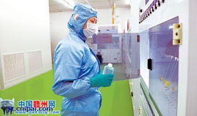 聚集顯合力 趁勢再揚帆 贛州特色產(chǎn)業(yè)迸發(fā)新活力 圖